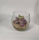 Faux sedum suaveolen glass pot artificial plant 2019YB09090387