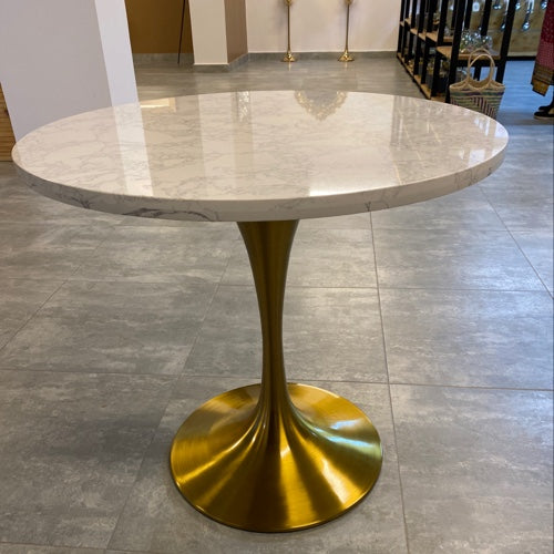 Marble dining table SS steel curve legs