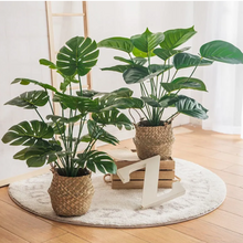 Load image into Gallery viewer, Artificial turtle leaf plant
